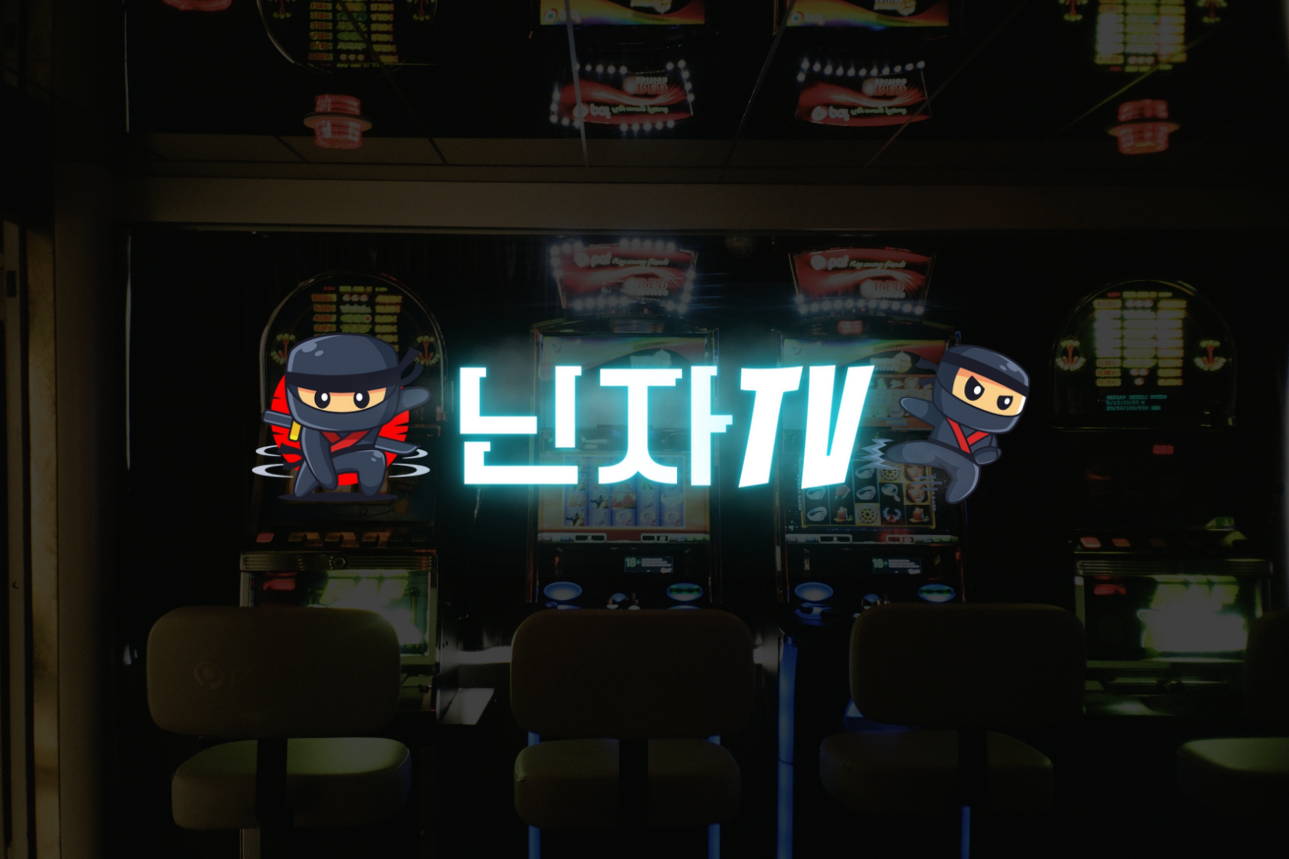 닌자티비 완전 초보자 가이드