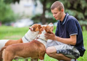 Healthy Games and Activities for Dogs Fun Ways to Boost Your Pet’s Physical and Mental Well-Being