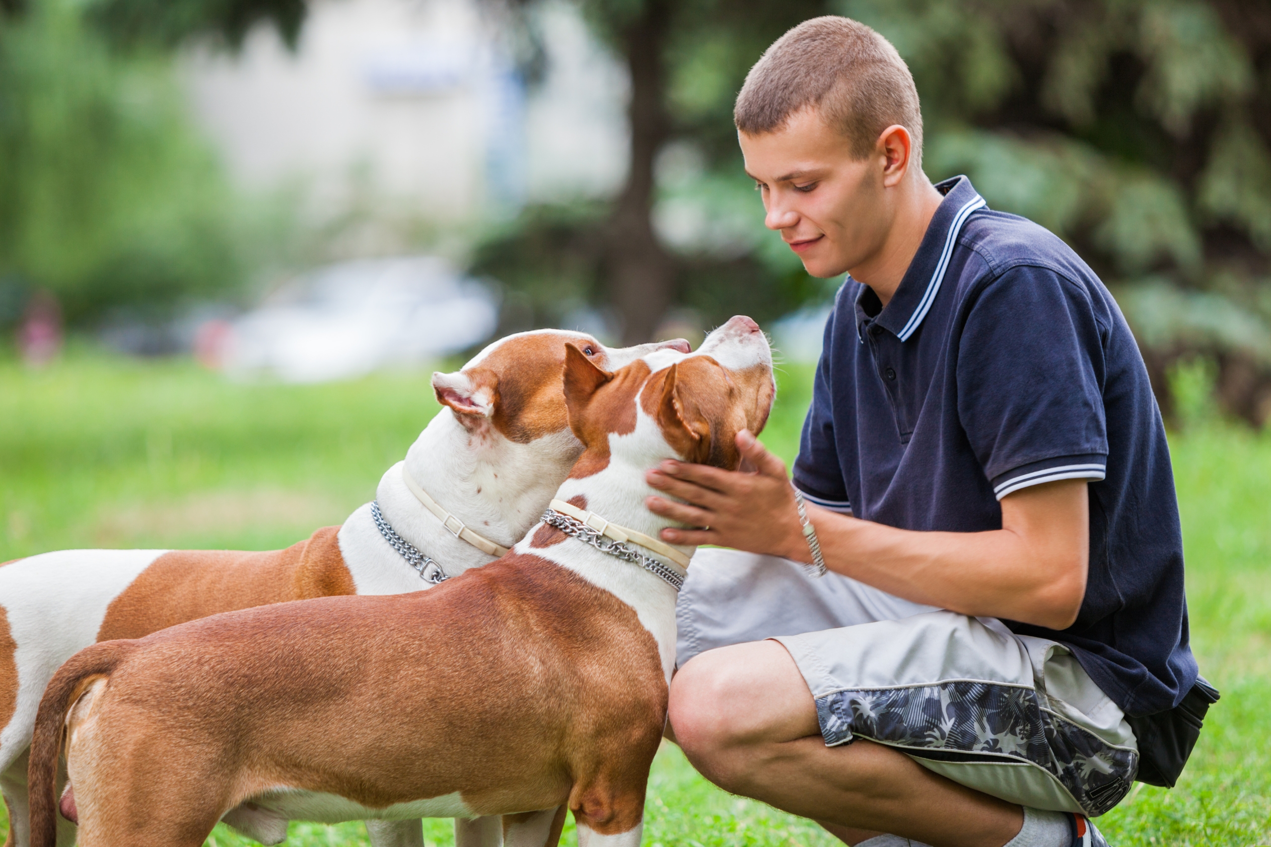 Healthy Games and Activities for Dogs: Fun Ways to Boost Your Pet’s Physical and Mental Well-Being